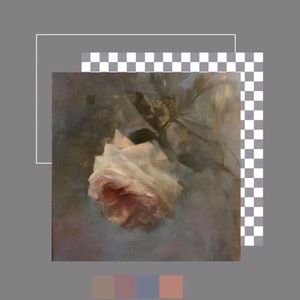 Meet your Posher, Ava